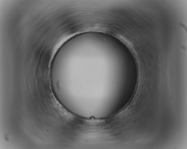 X0000103471200200809191828