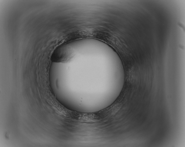 X0000103471201200809191827