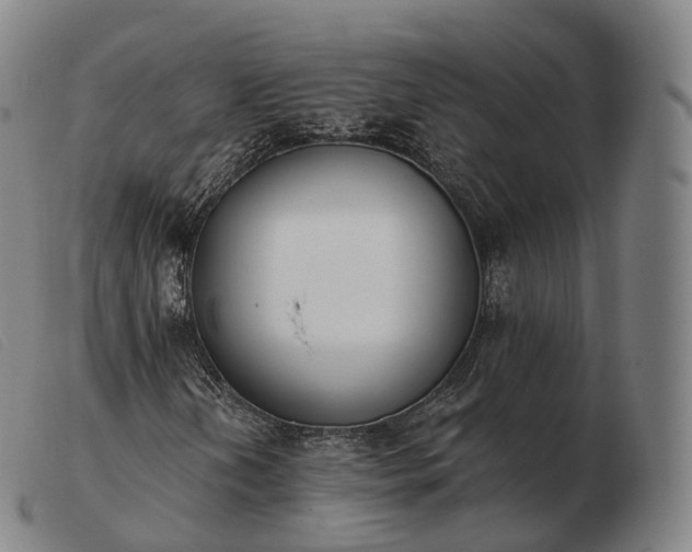 X0000103471202200809191827