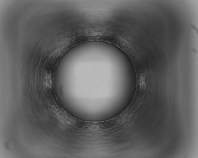 X0000103471204200809191827