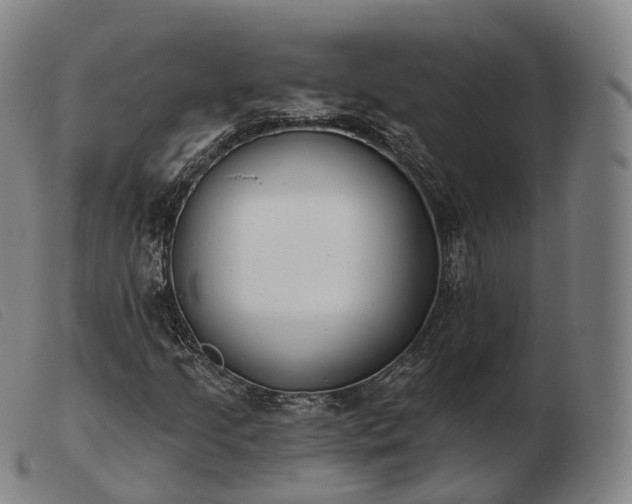 X0000103471205200809191827