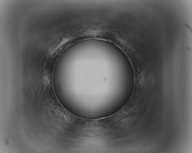 X0000103471206200809191827