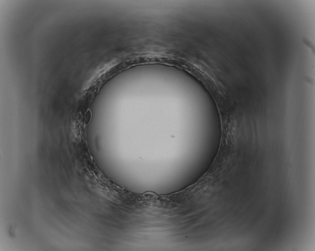 X0000103471207200809191827