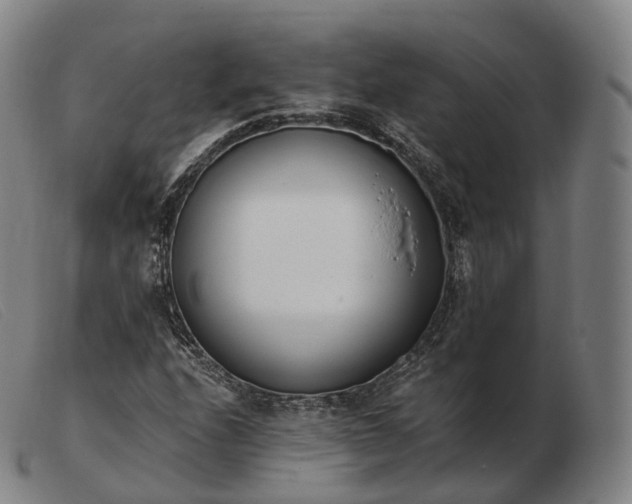 X0000103471208200809191828