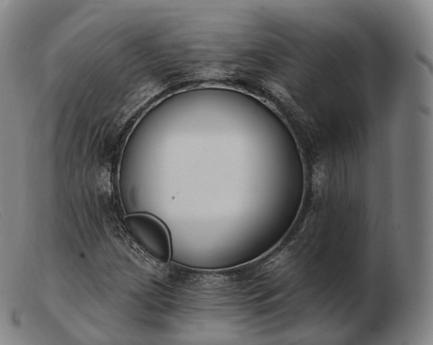 X0000103471209200809191828