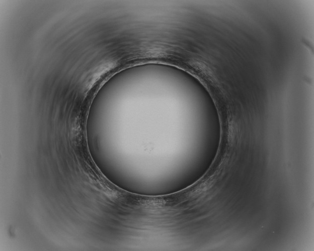 X0000103471210200809191828