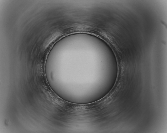 X0000103471211200809191828