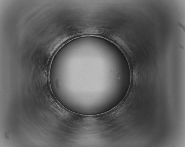 X0000103471212200809191828