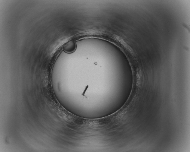 X0000103471213200809191828