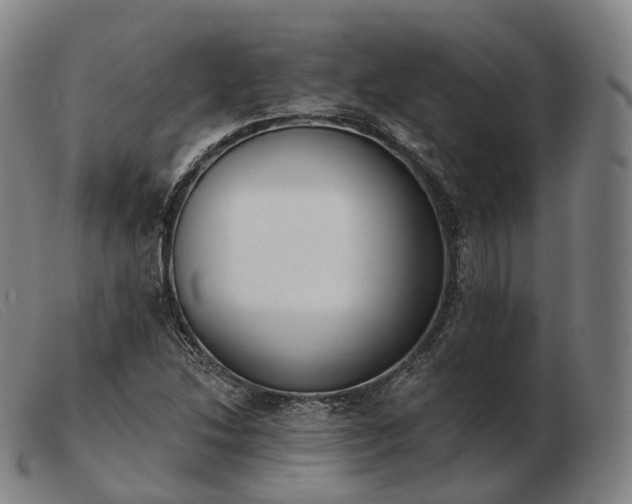 X0000103471214200809191828