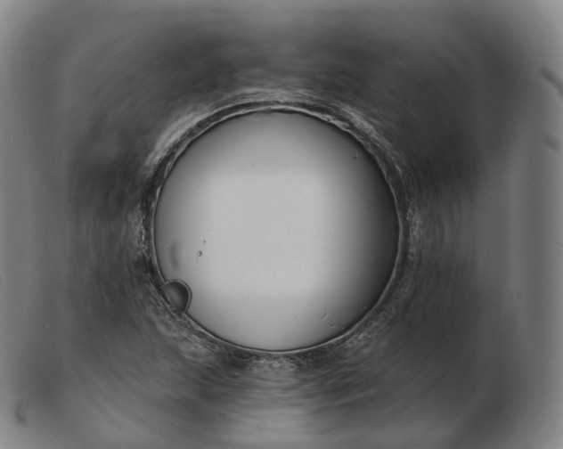 X0000103471215200809191828