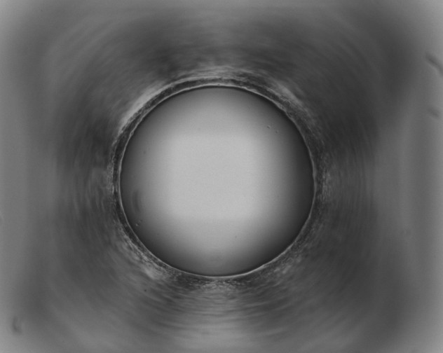 X0000103471216200809191828