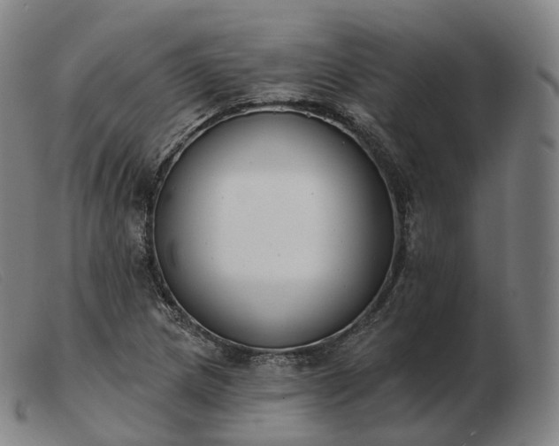 X0000103471217200809191828