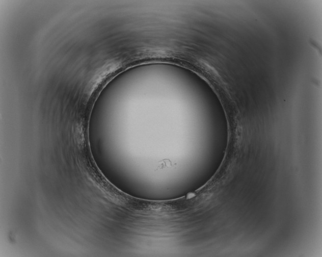 X0000103471218200809191828