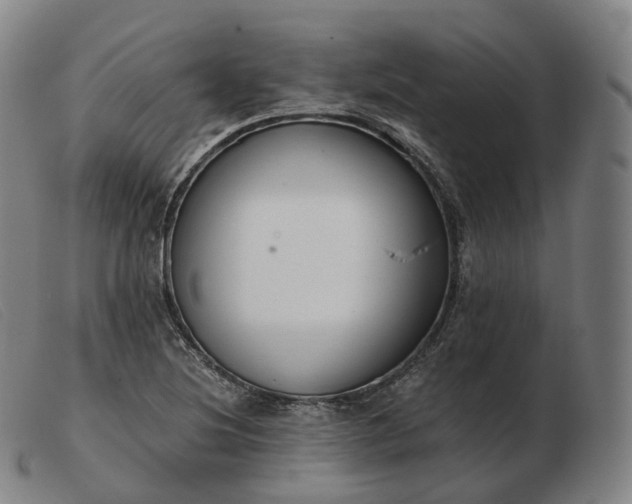 X0000103471220200809191828