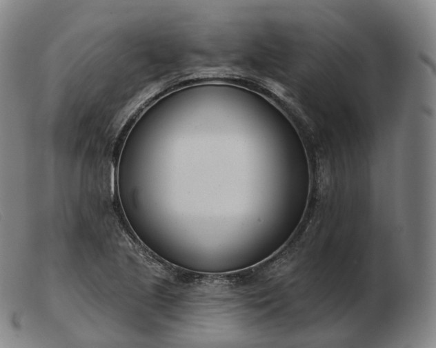 X0000103471221200809191828