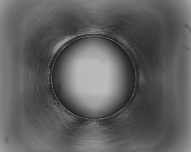 X0000103471222200809191828