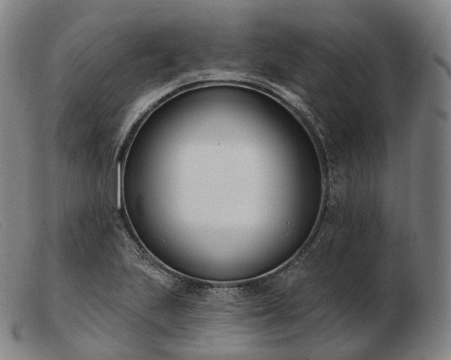 X0000103471223200809191828