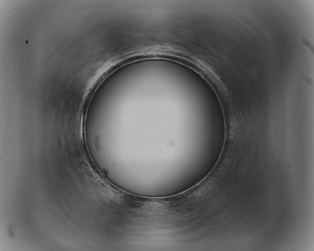 X0000103471224200809191828