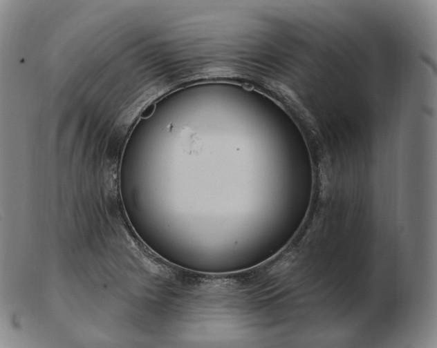 X0000103471225200809191828