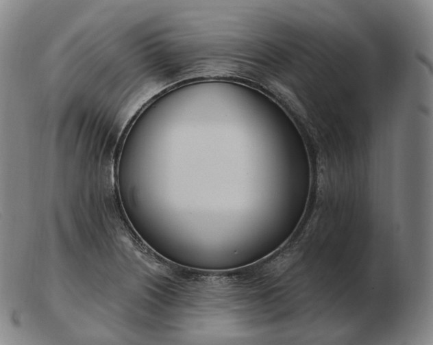 X0000103471226200809191828