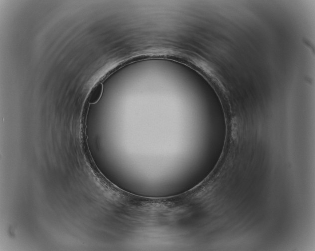 X0000103471229200809191828