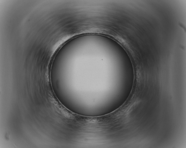 X0000103471230200809191828