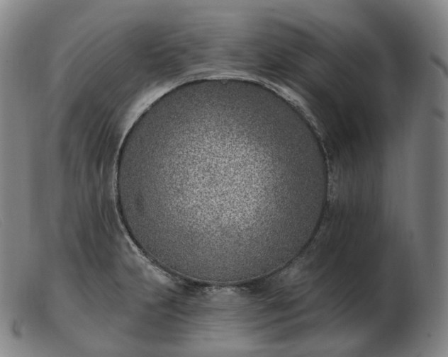 X0000103471231200809191828