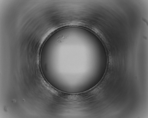 X0000103471232200809191828