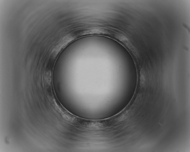 X0000103471233200809191828