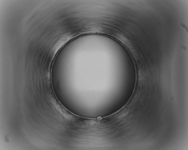 X0000103471234200809191828