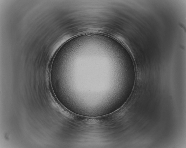 X0000103471235200809191828