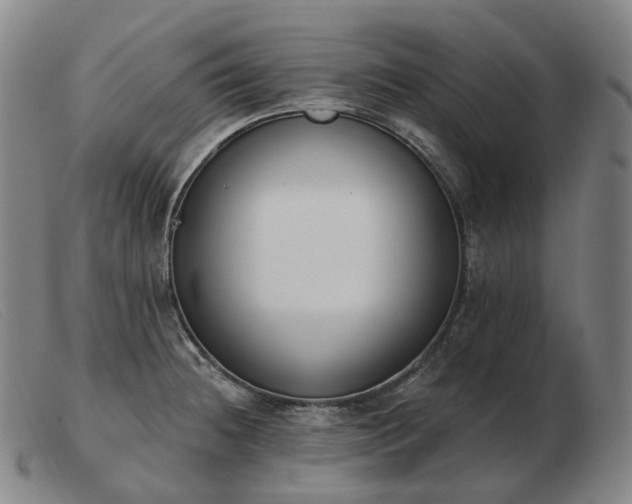 X0000103471236200809191828