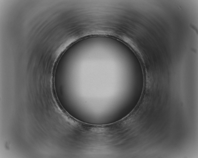 X0000103471237200809191828