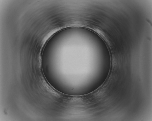 X0000103471238200809191828