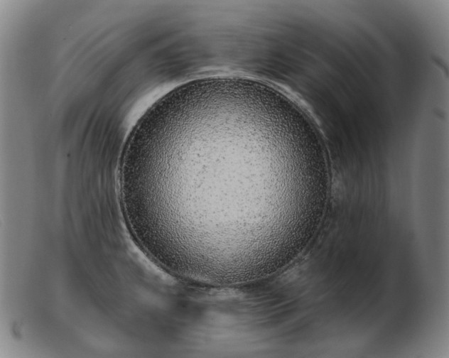 X0000103471239200809191828