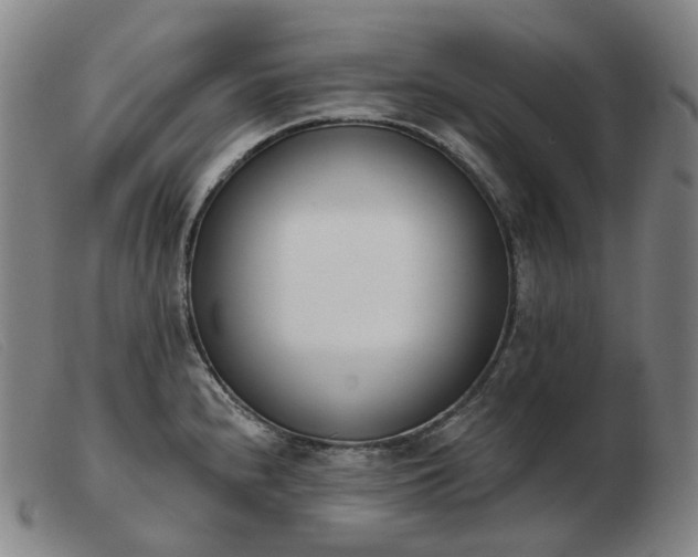 X0000103471240200809191828