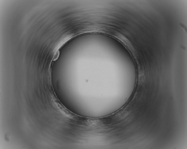 X0000103471242200809191828