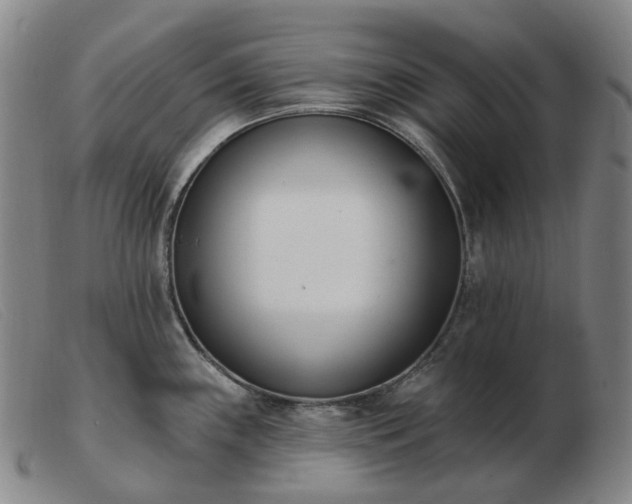 X0000103471243200809191828