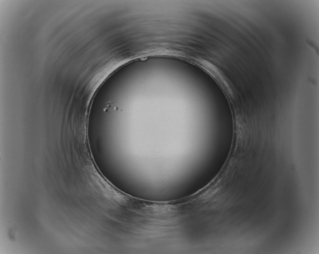 X0000103471244200809191828