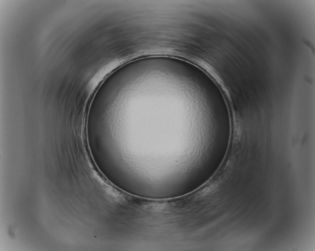 X0000103471245200809191828