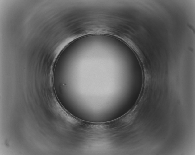 X0000103471246200809191828