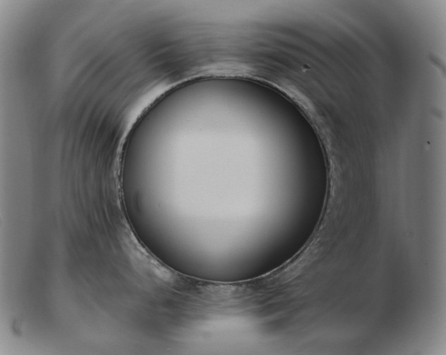 X0000103471248200809191828