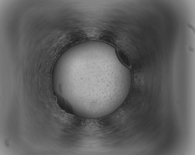 X0000103471249200809191827