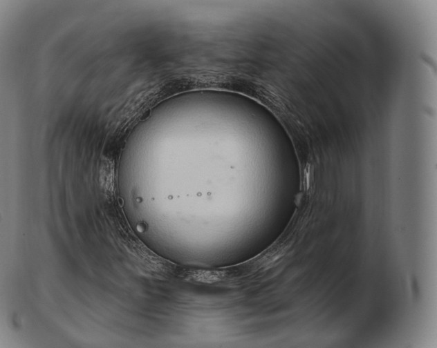 X0000103471251200809191827