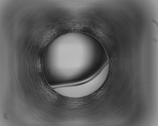 X0000103471252200809191827