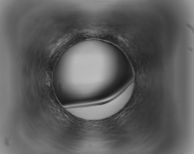 X0000103471253200809191827