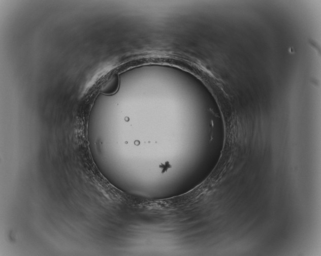 X0000103471255200809191827