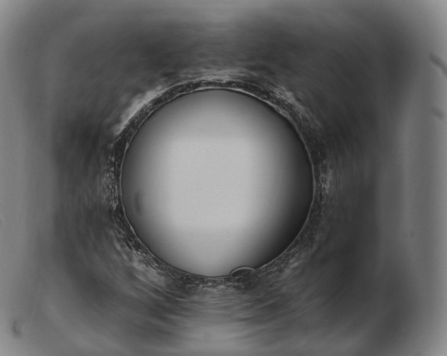 X0000103471256200809191827