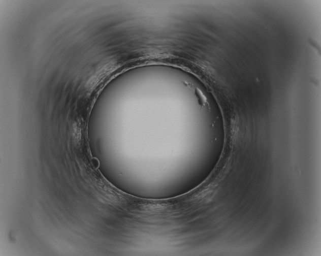 X0000103471257200809191827